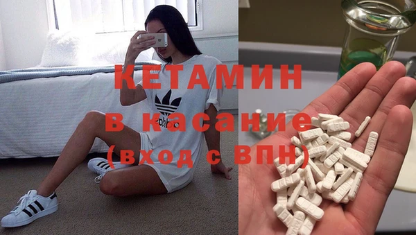 ГАЛЛЮЦИНОГЕННЫЕ ГРИБЫ Верея